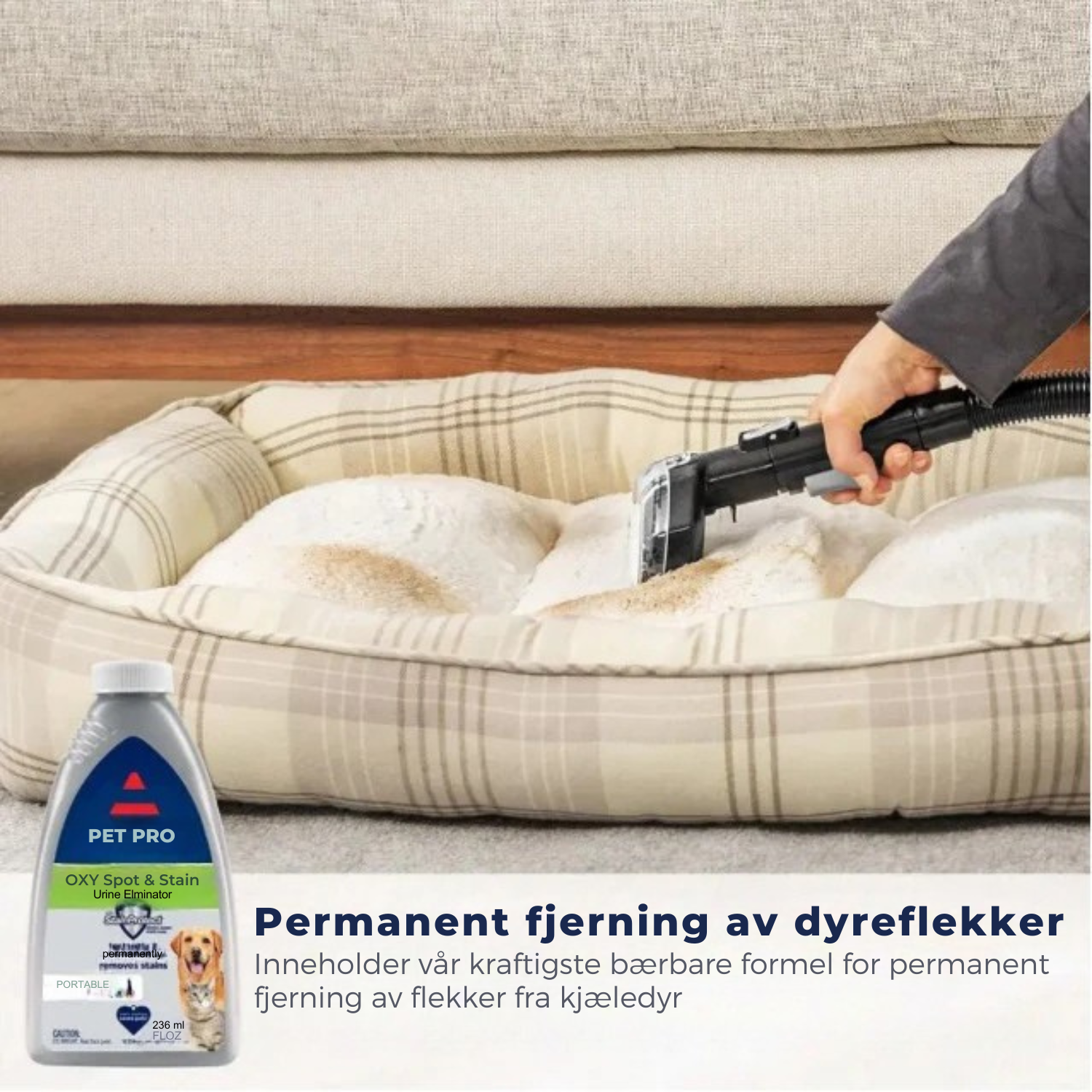 CleanWave™ Bærbar Teppe- og Møbelrenser