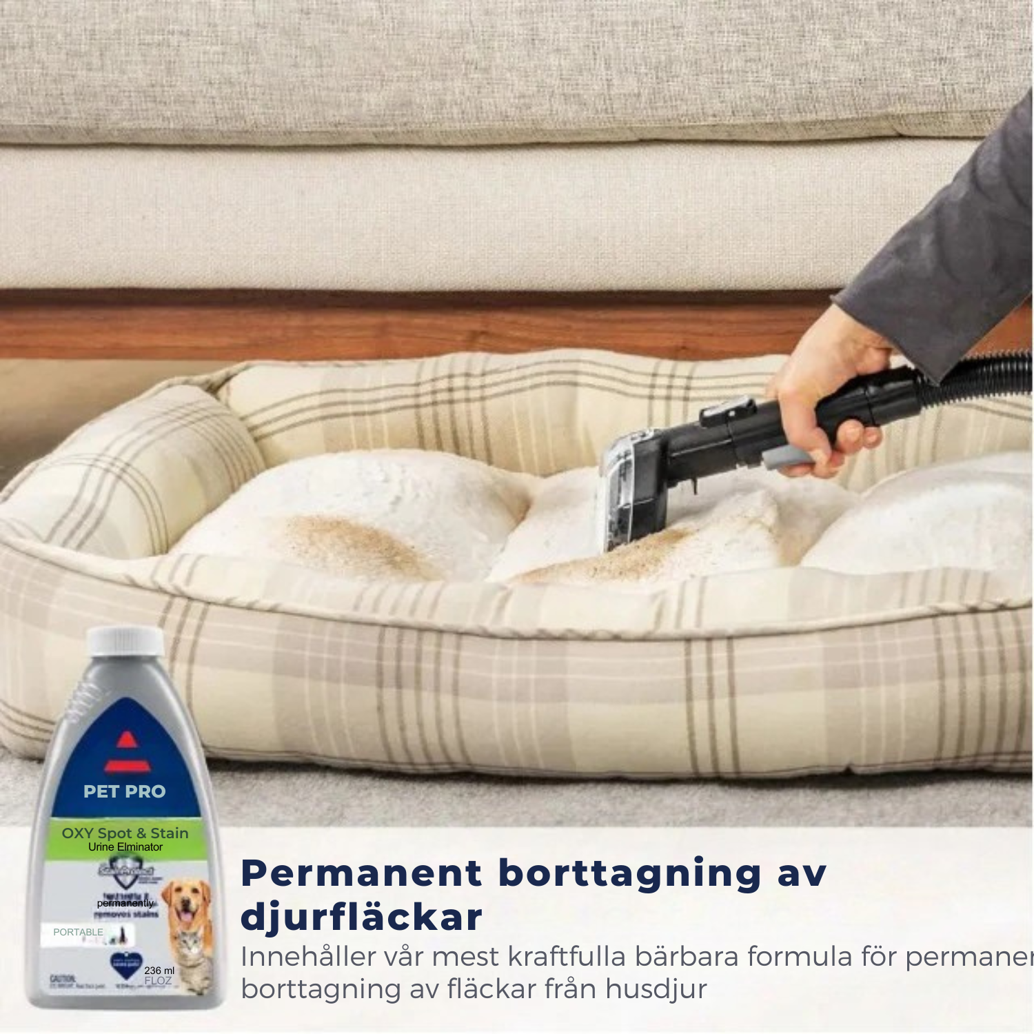 SteamBright™ Bärbar Matt- och Möbelrengörare